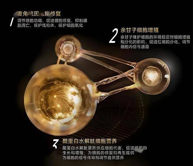 钟丽缇三管齐下造就完美身姿拥有洒脱个性的钟丽缇